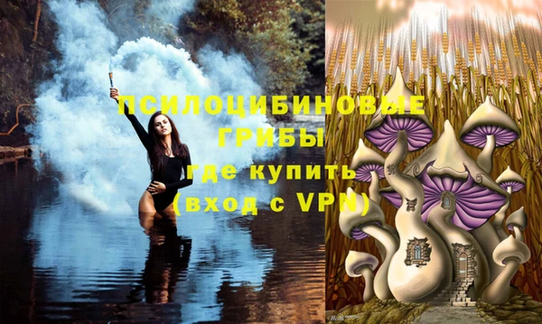кокаин колумбия Михайлов
