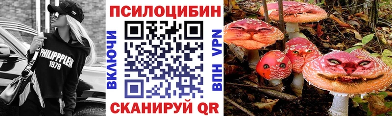 Галлюциногенные грибы Psilocybine cubensis  Нижневартовск 