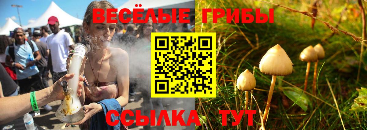 Псилоцибиновые грибы мицелий Нижневартовск